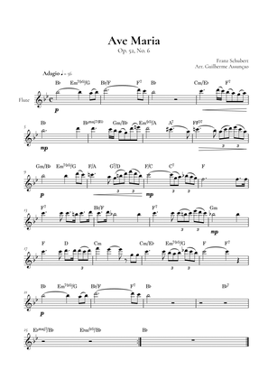 Ave Maria - F. Schubert (Flute)
