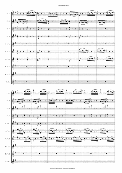 The Moldau by Bedrich Smetana - Symphonic Poem for Flute Choir image number null