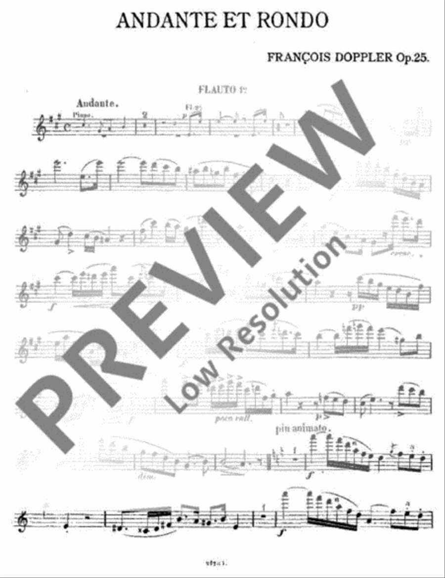 Andante et Rondo Andante et Rondo Flute Duet scores gallery preview page 18