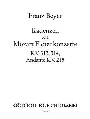 Book cover for Cadenzas to Mozart's flute concertos