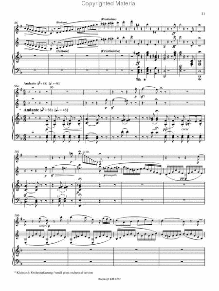 Concert Piece no. 2 for Clarinet, Basset Horn (two clarinets) and Piano No. 2 in D Minor