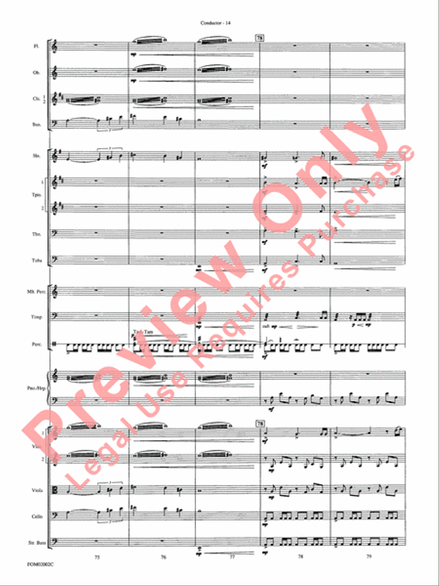 The Lord of the Rings: The Fellowship of the Ring Full Orchestra scores gallery preview page 17