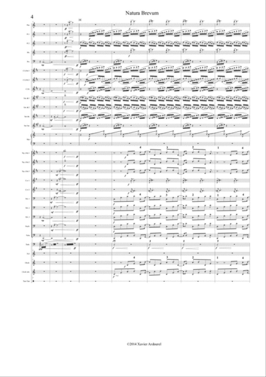 NATURA BREVUM NATURA BREVUM Concert Band scores gallery preview page 4