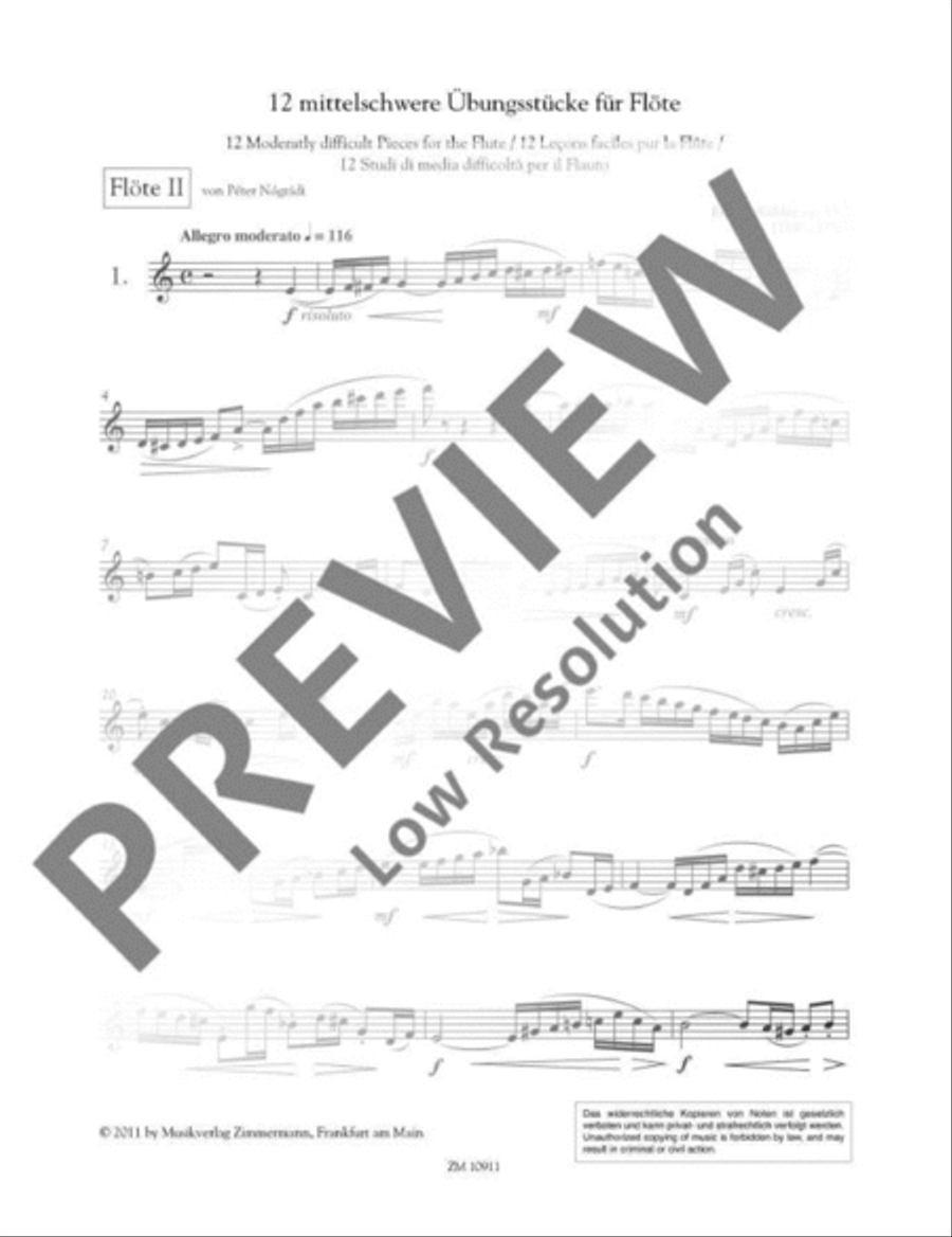 The Flutists Progress Flute Duet scores gallery preview page 3