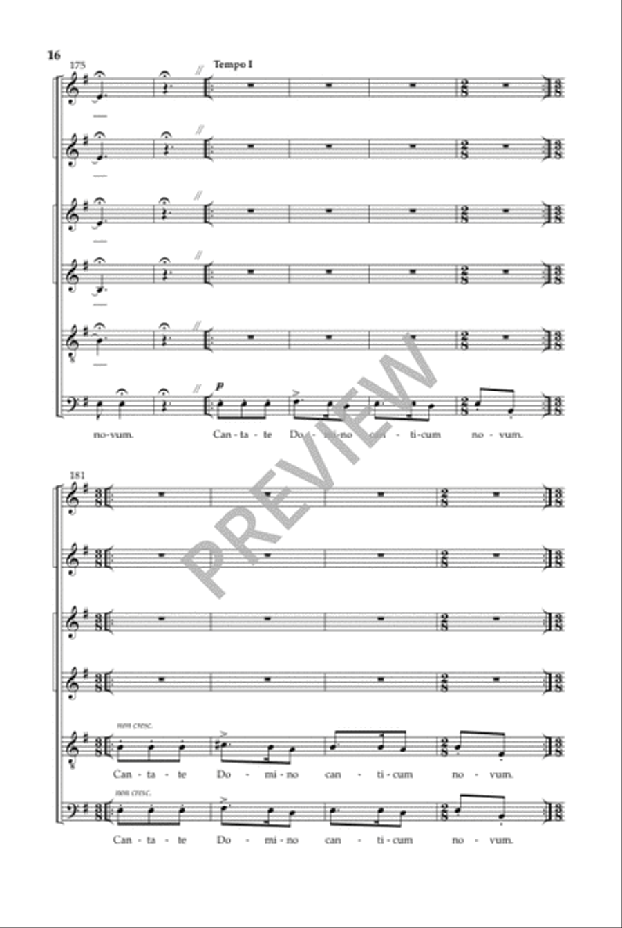 Cantate Domino - SSAATTB Choir scores gallery preview page 17