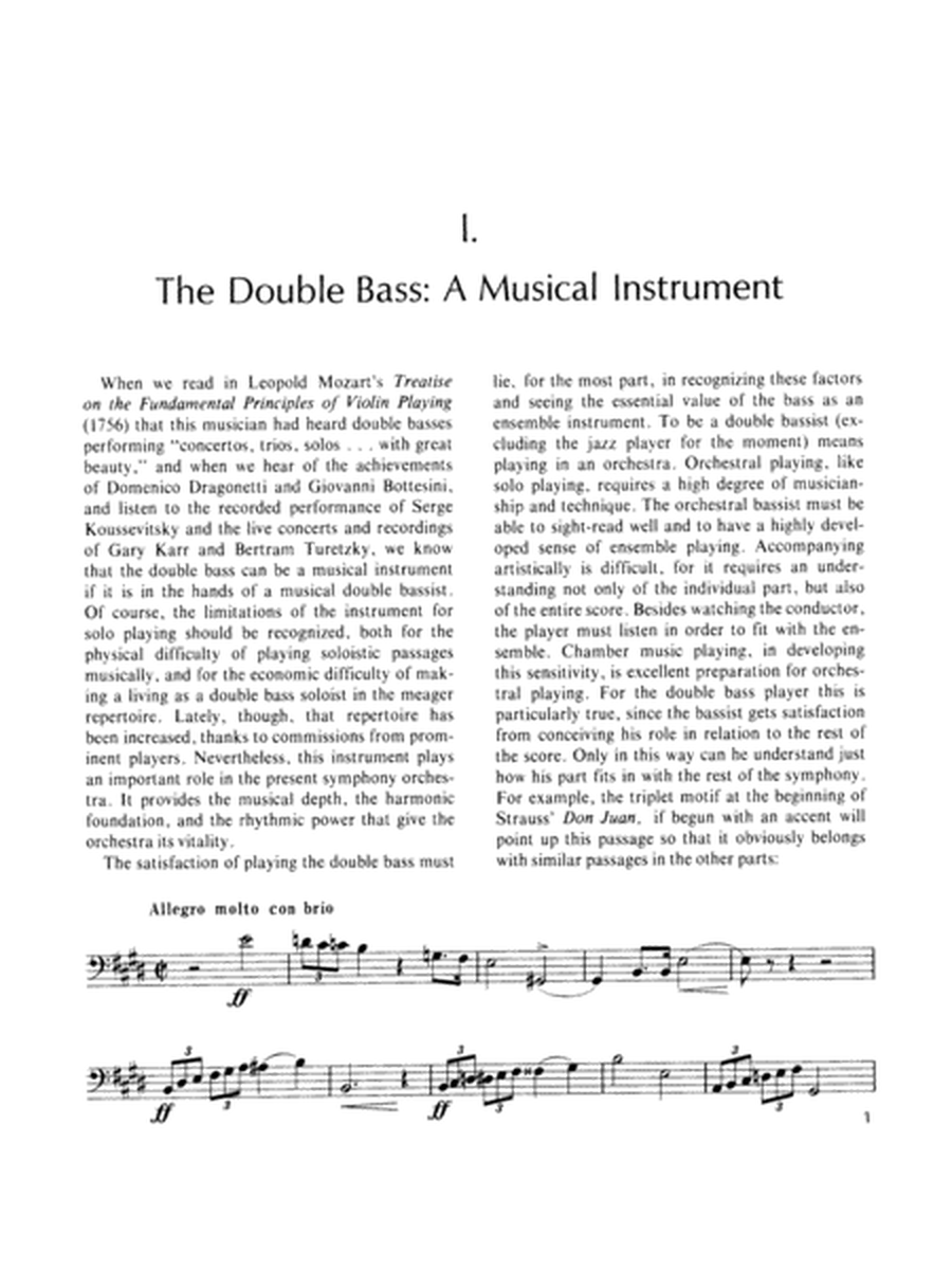 The Art of Double Bass Playing