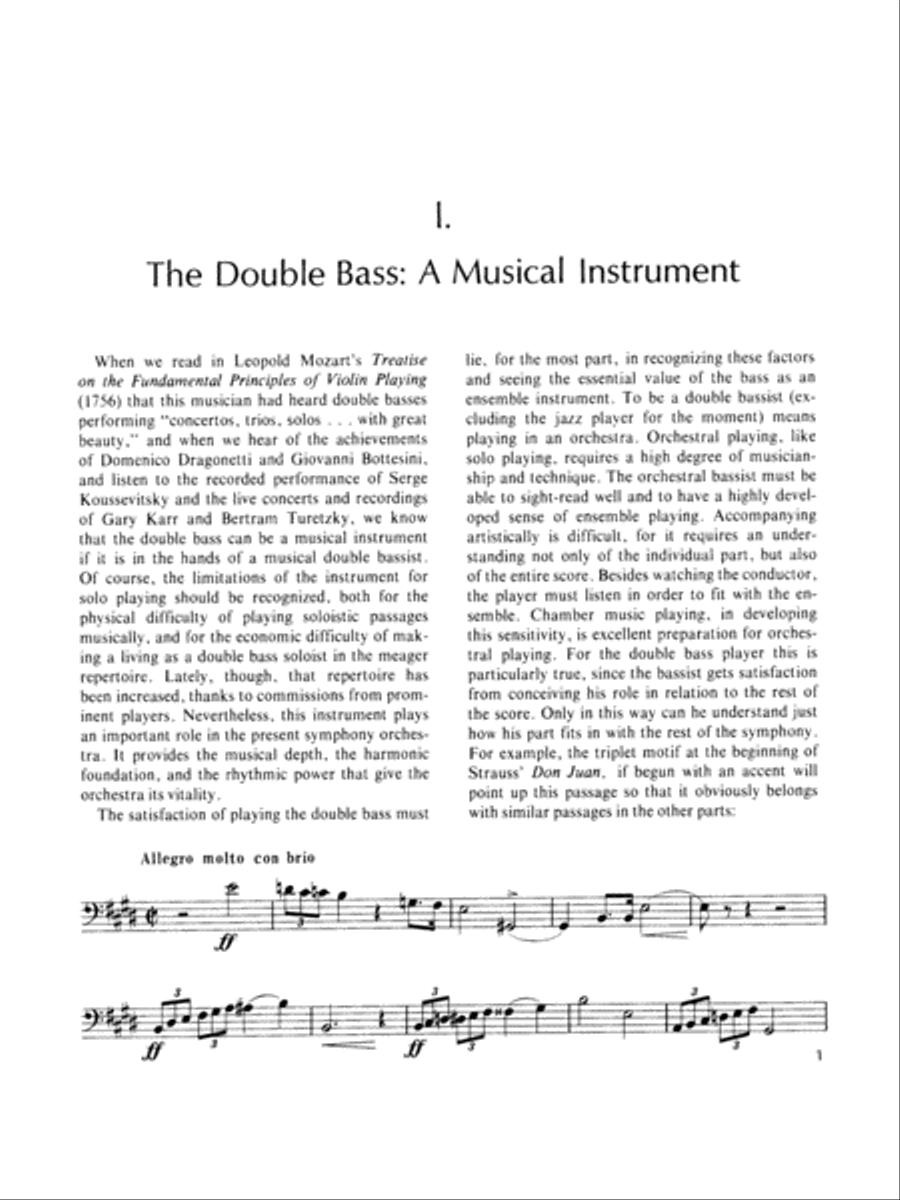 The Art of Double Bass Playing