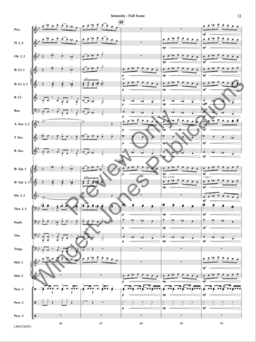 Intensity Concert Band scores gallery preview page 12