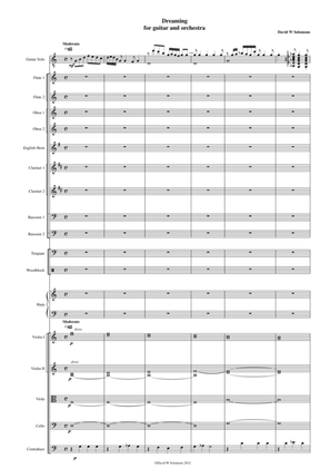 Guitar and Orchestra Suite 1st movement (Dreaming)