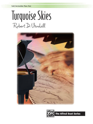 Book cover for Turquoise Skies