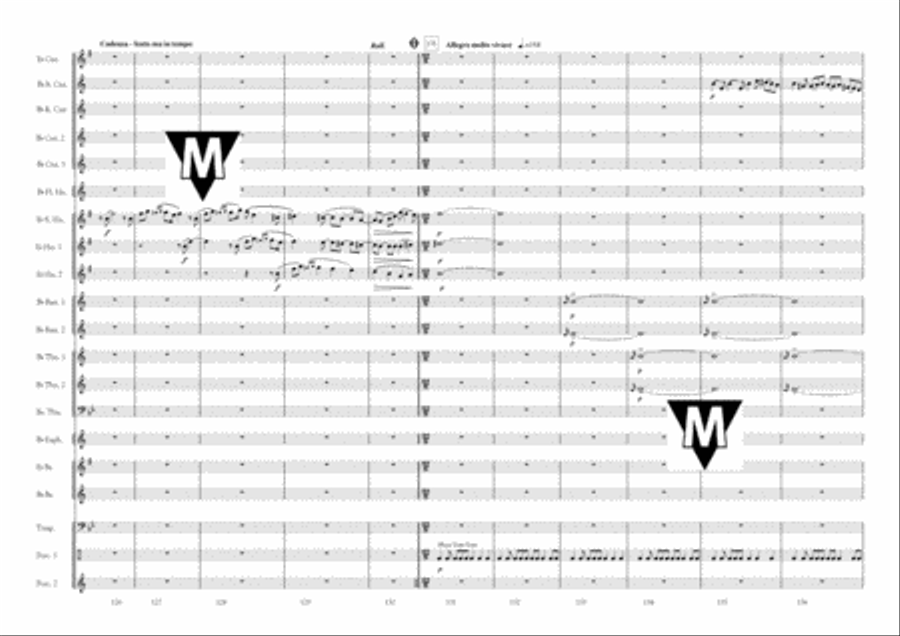Horns Enjoying Themselves Brass Band scores gallery preview page 10