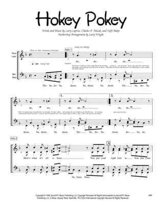 Book cover for The Hokey Pokey