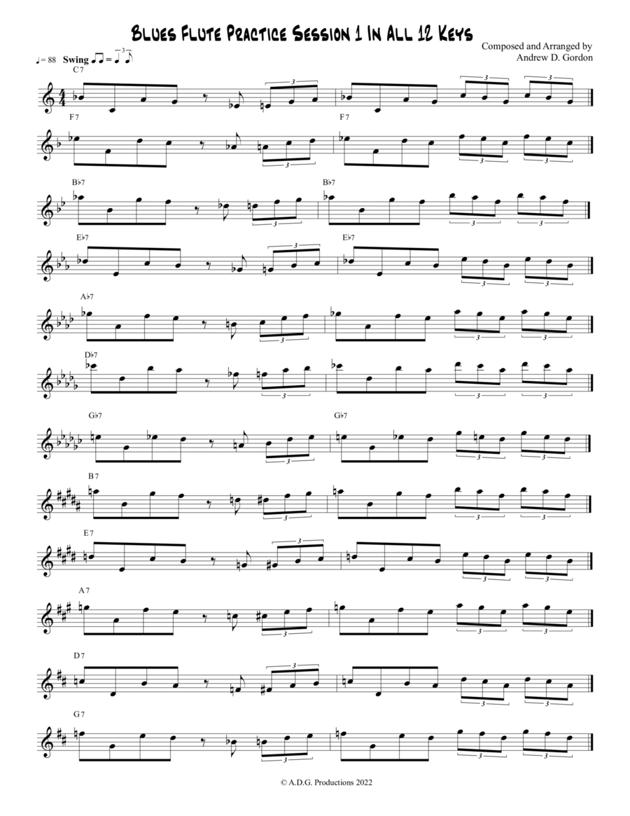 Blues Flute Practice Session 1 in All 12 Keys by Andrew D. Gordon