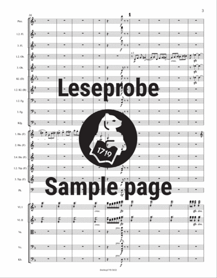 Till Eulenspiegel’s Merry Pranks Op. 28 TrV 171 Orchestra scores gallery preview page 4