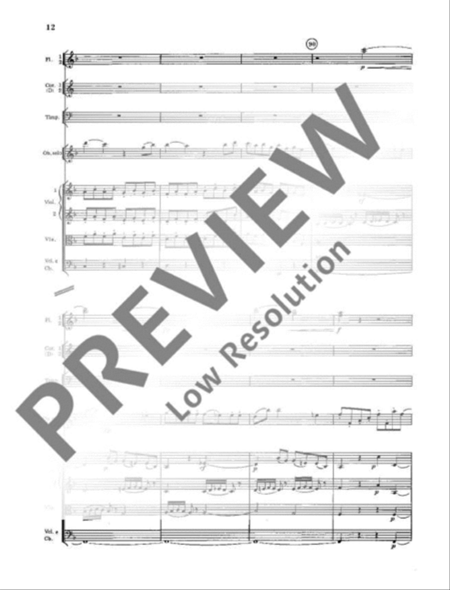 Concerto No. 1 D minor Orchestra scores gallery preview page 13