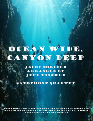 Book cover for Ocean Wide, Canyon Deep