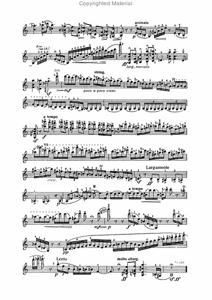 Fantasie fur Violine solo / Fantaasia soloviiulile
