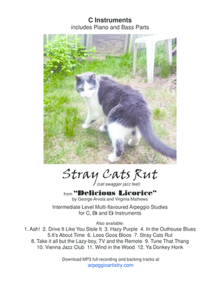 Stray Cats Rut, flute, violin, C instruments