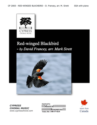 Red-winged Blackbird - SSA