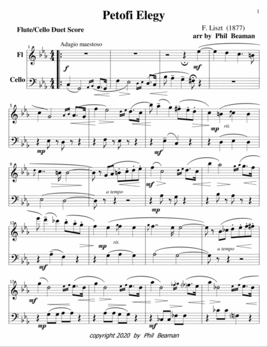 Petofi Elegy-Liszt-flute-cello duet Flute scores gallery preview page 1