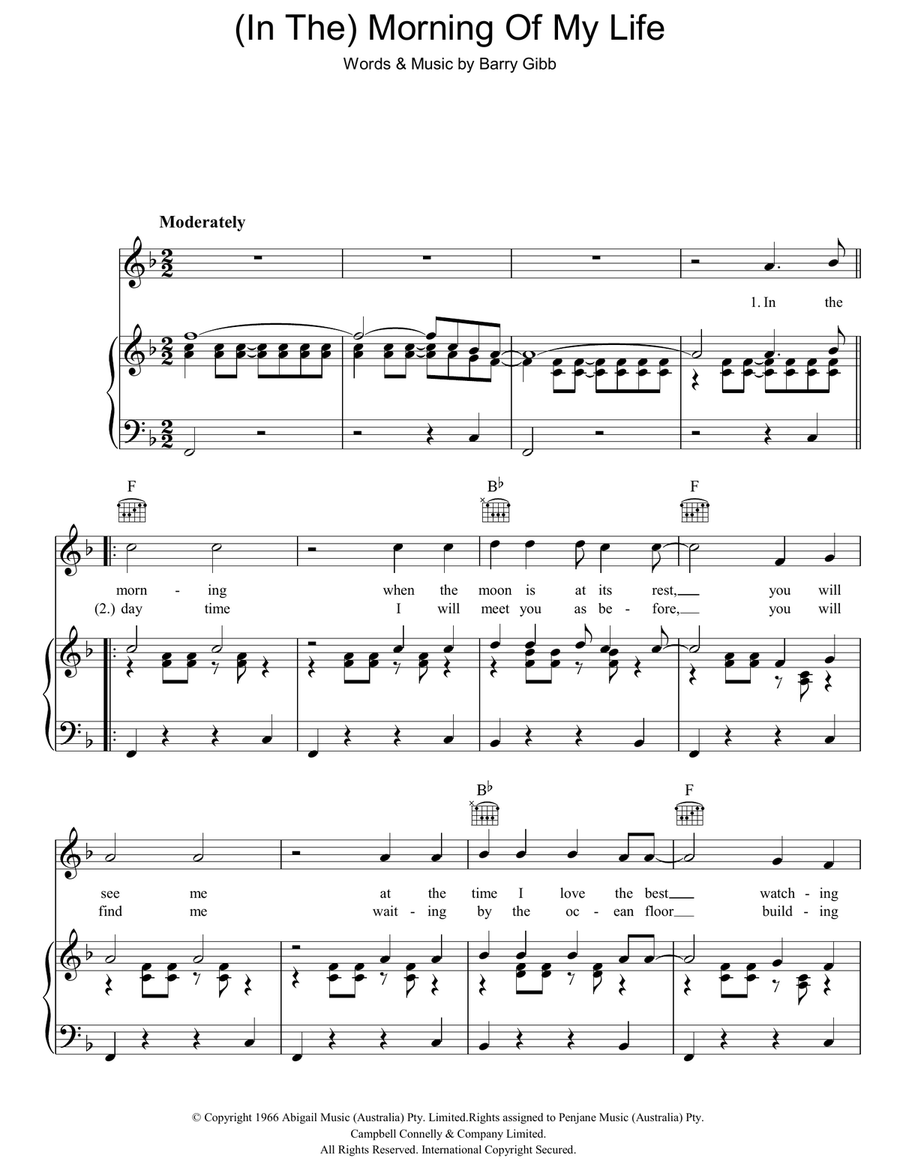 (In The) Morning Of My Life Acoustic Guitar scores gallery preview page 1