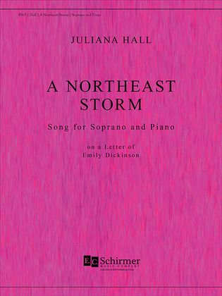 A Northeast Storm