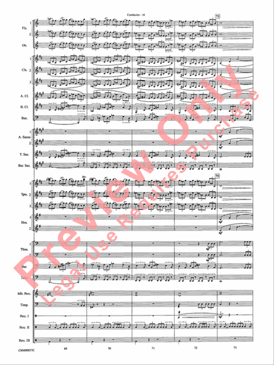 The Perfect Storm (from the Warner Bros. Motion Picture) Concert Band scores gallery preview page 17