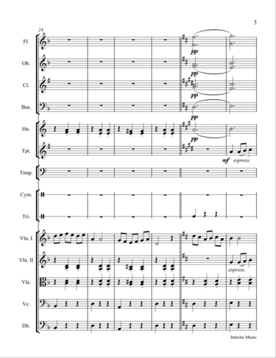 Torna a Sorrento for Orchestra Chamber Orchestra scores gallery preview page 5