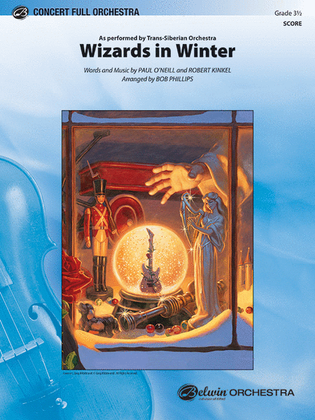 Book cover for Wizards in Winter