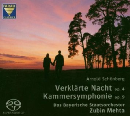 Verklaerte Nacht; Kammersinfonie no. 1