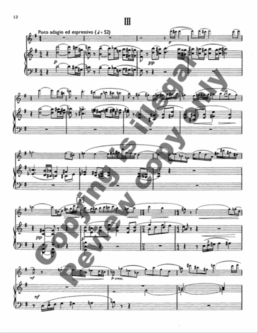 Concerto for Flute & Strings, No. 1 Orchestra scores gallery preview page 10