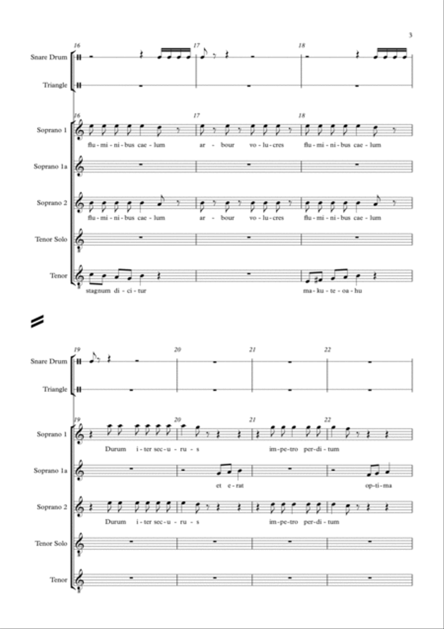 Mukutekahu (from Hunt for the Wilderpeople) Choir scores gallery preview page 3