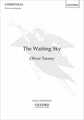 Book cover for The Waiting Sky