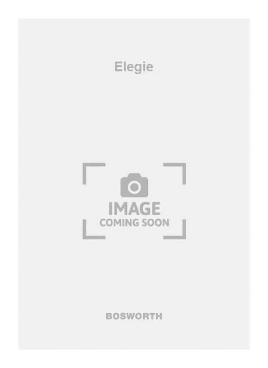 Elegie Elegie Flute Solo scores gallery preview page 1