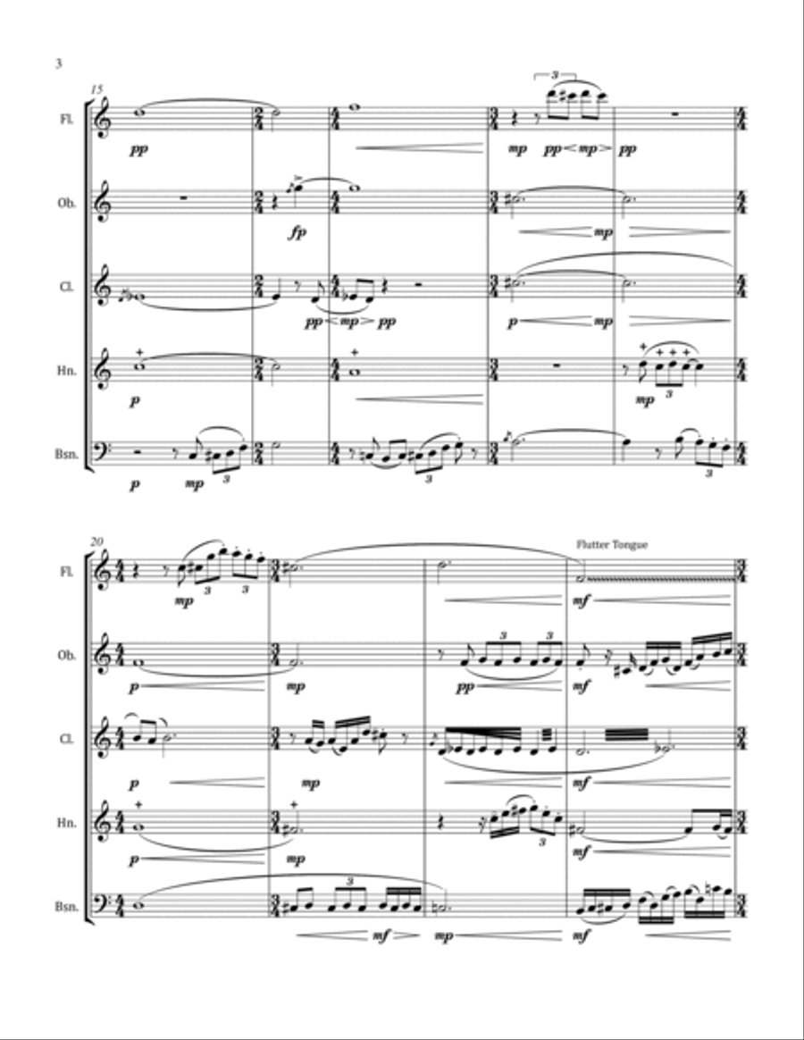 Slow Night Slow Night Woodwind Quintet scores gallery preview page 4