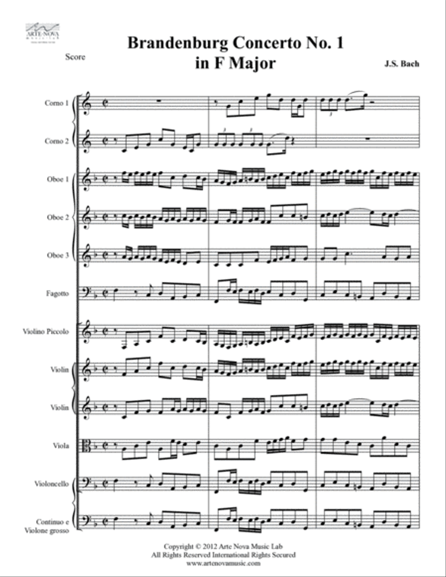 Brandenburg Concerto No 1 in F Major, BWV 1046 Chamber Orchestra scores gallery preview page 2