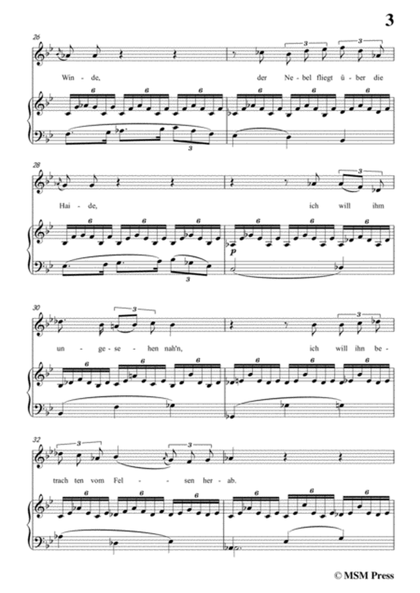 Schubert-Shilrik und Vinvela,in B flat Major,for Voice&Piano image number null
