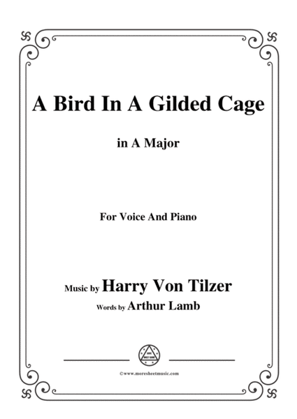 Harry Von Tilzer-Bird In A Gilded Cage,in A Major,for Voice&Piano image number null