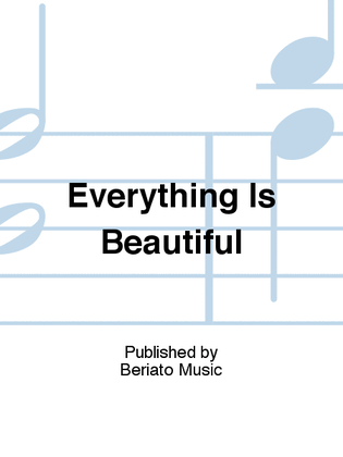 Book cover for Everything Is Beautiful