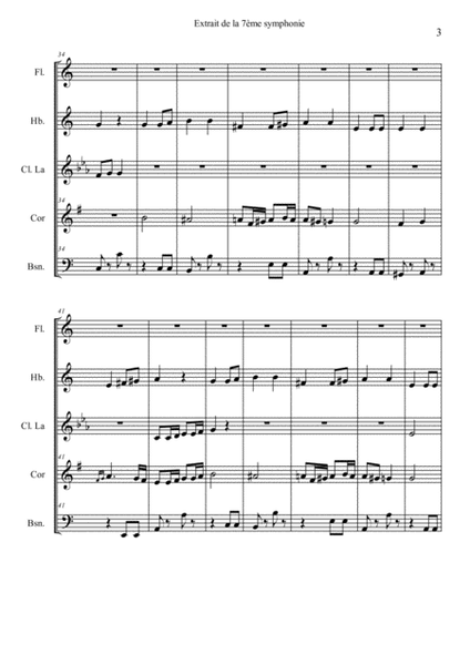 Beethoven Allegretto - woodwind quintet