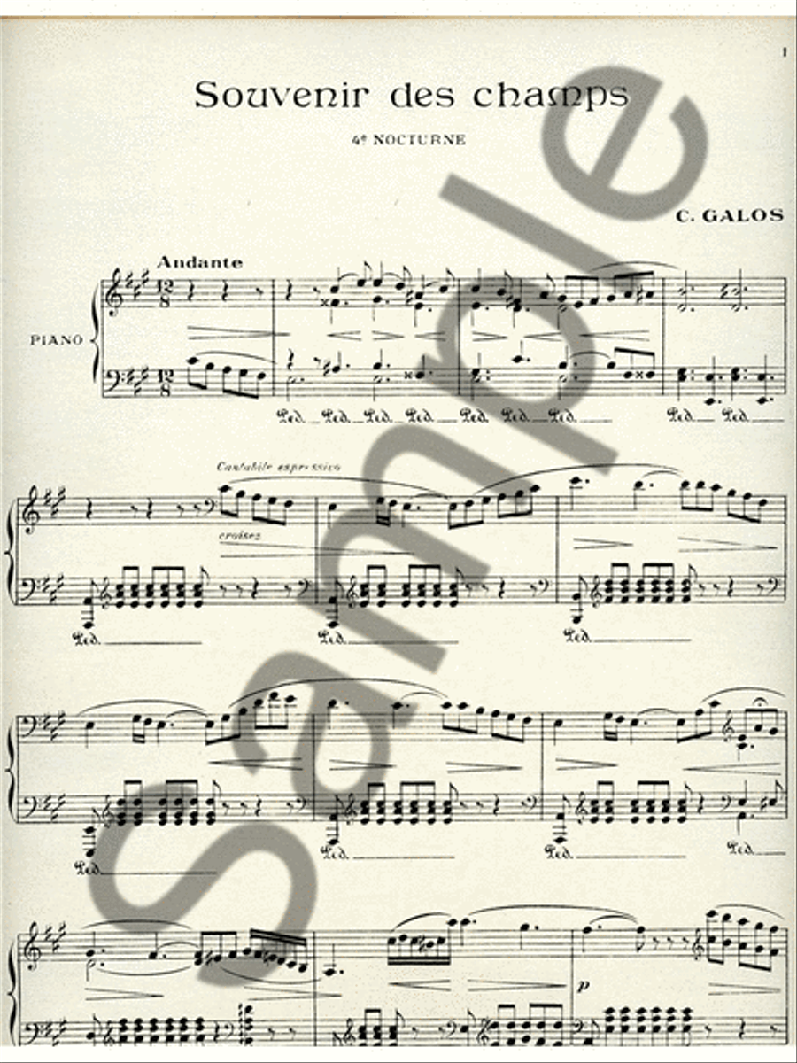 Souvenir Des Champs (piano Solo) Piano Solo scores gallery preview page 2