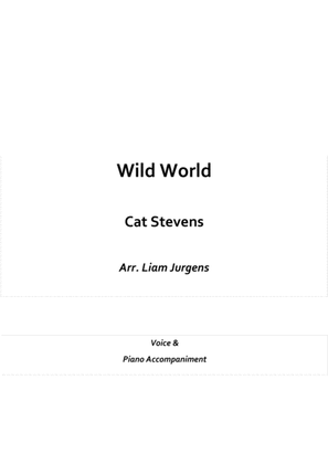 Book cover for Wild World