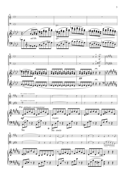 Liszt Liebestraum, for piano trio, PL101 image number null
