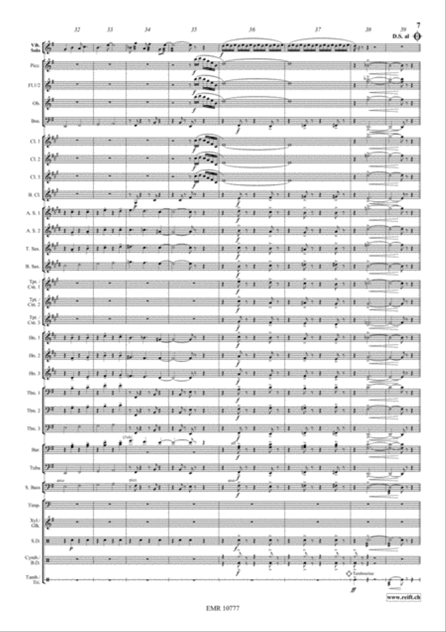 Concerto Piccolo Concerto Piccolo Concert Band scores gallery preview page 7