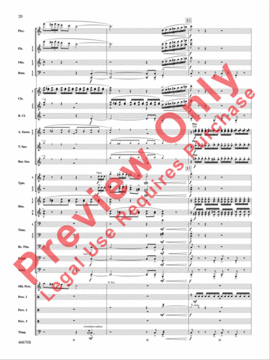 The Falls Concert Band scores gallery preview page 21