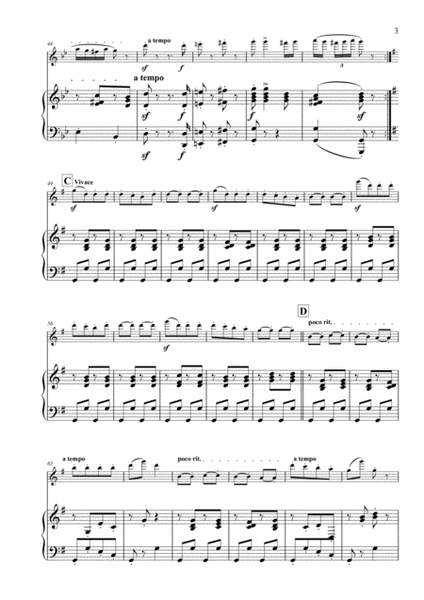 Hungarian Dance No. 5 in G Minor arranged for Flute & Piano image number null