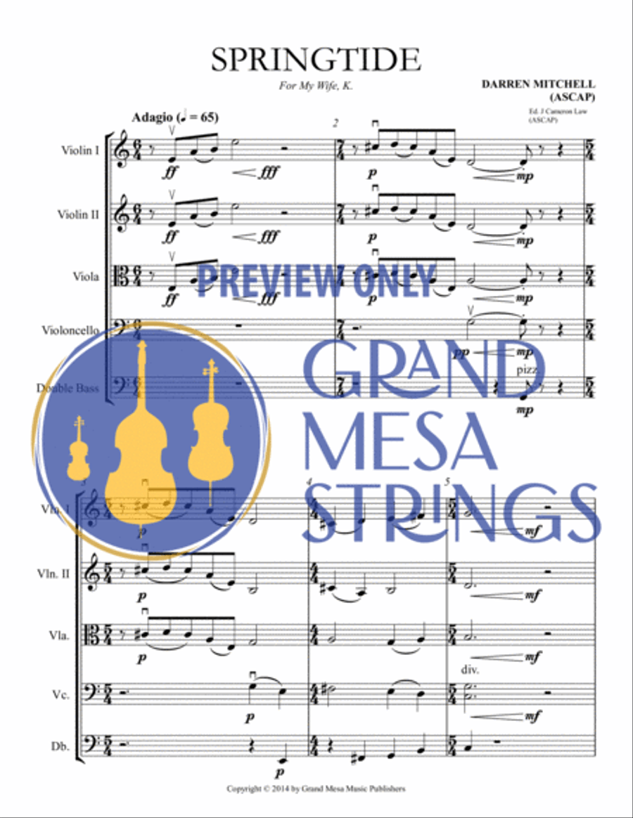 Springtide Springtide String Orchestra scores gallery preview page 2