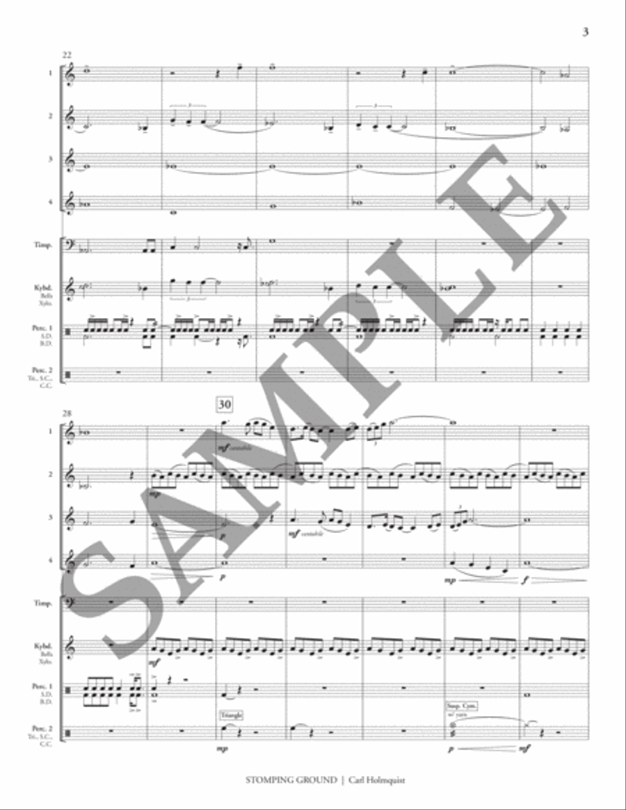 Stomping Ground (transposed score) Flexible/Adaptable scores gallery preview page 8