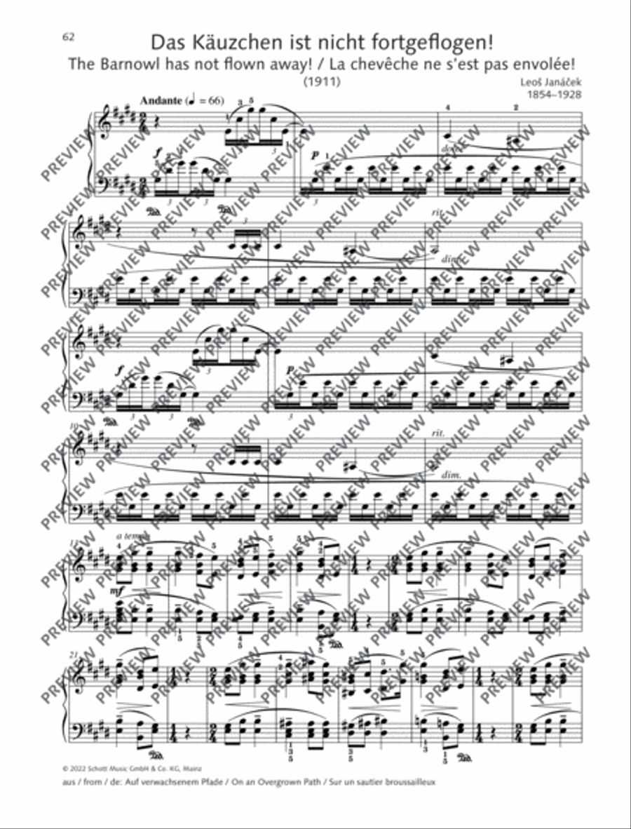 The Barnowl has not flown away! Piano Solo scores gallery preview page 2