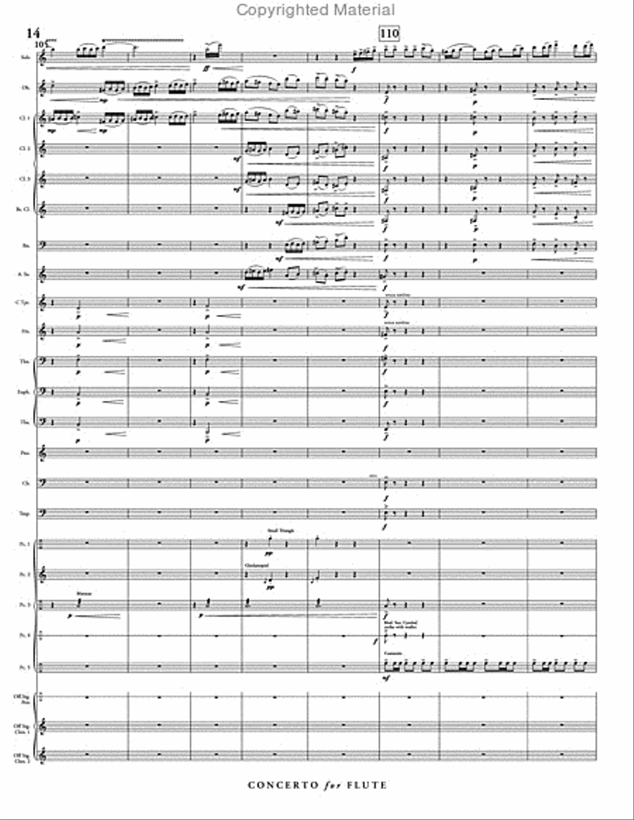 Concerto for Flute & Wind Ensemble Concert Band scores gallery preview page 15